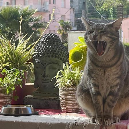 Pozzo Di Borgo Lägenhet Ajaccio  Exteriör bild