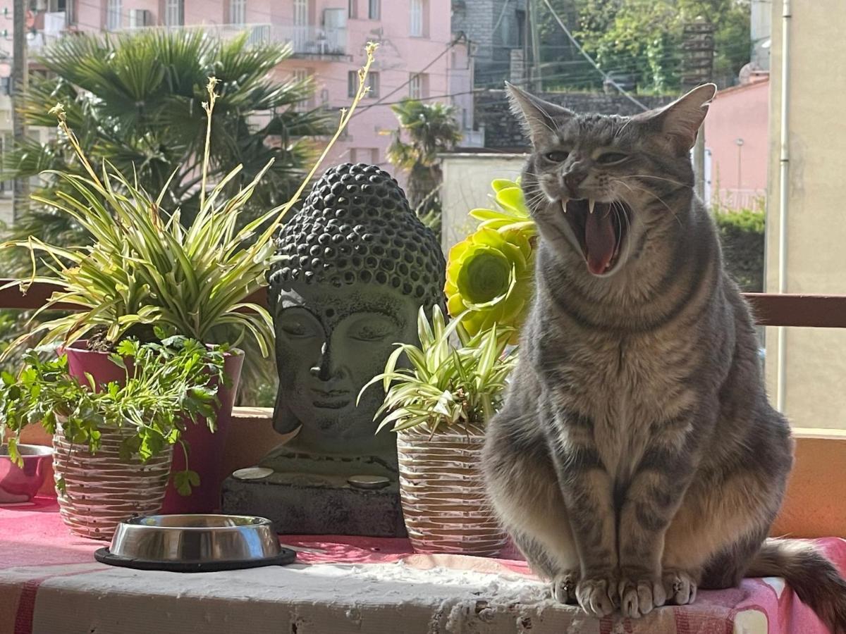Pozzo Di Borgo Lägenhet Ajaccio  Exteriör bild