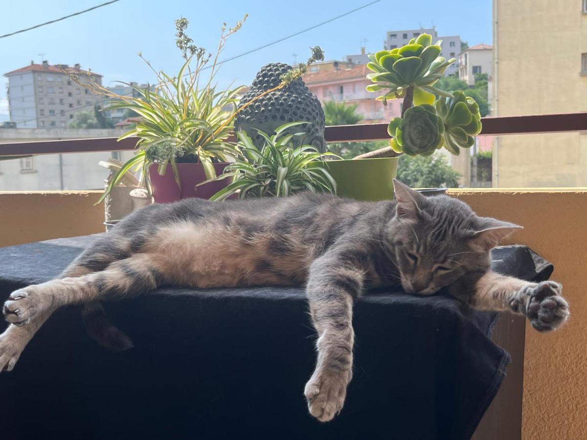 Pozzo Di Borgo Lägenhet Ajaccio  Exteriör bild